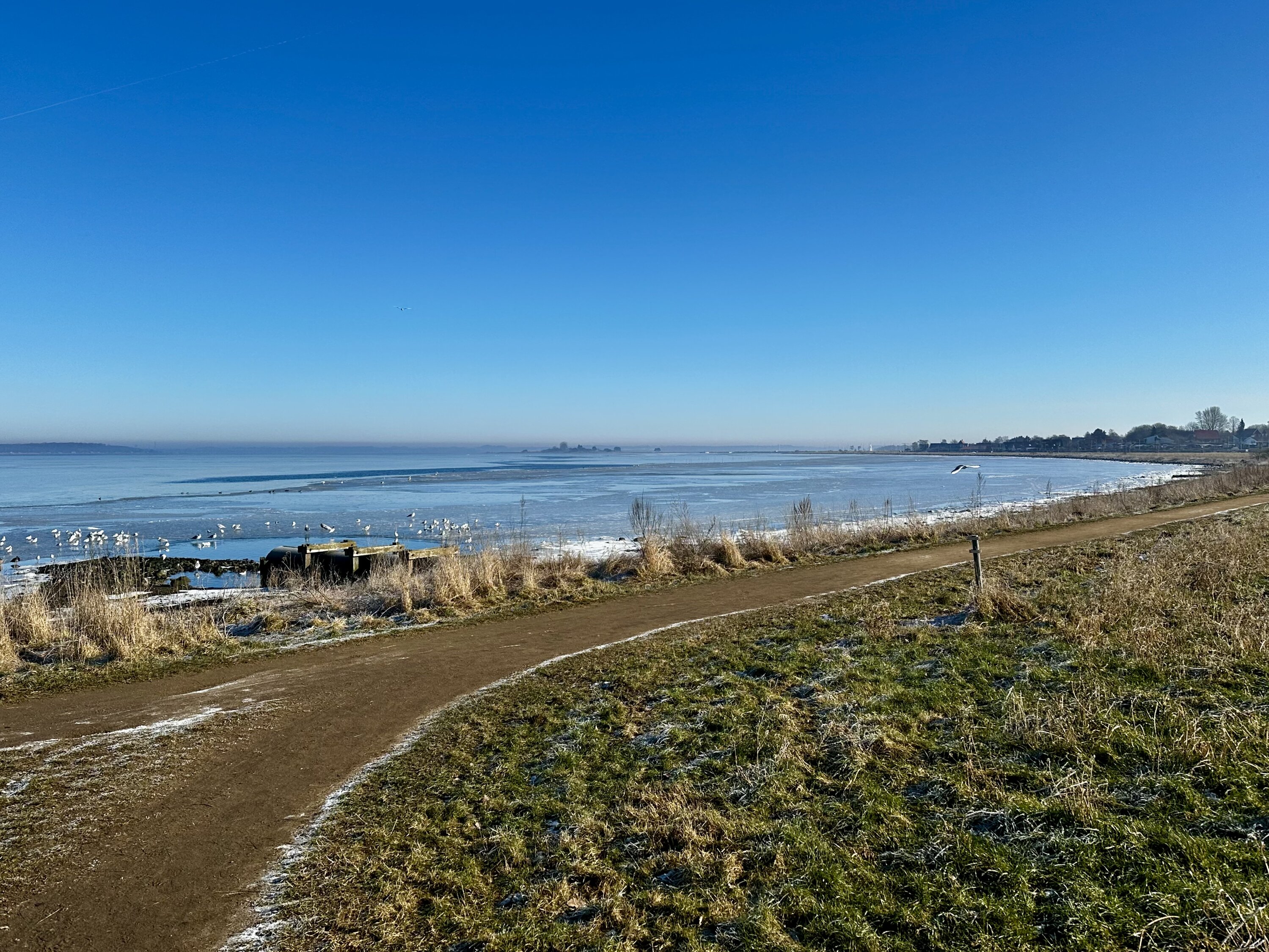 Holbæk fjord i frostvejr